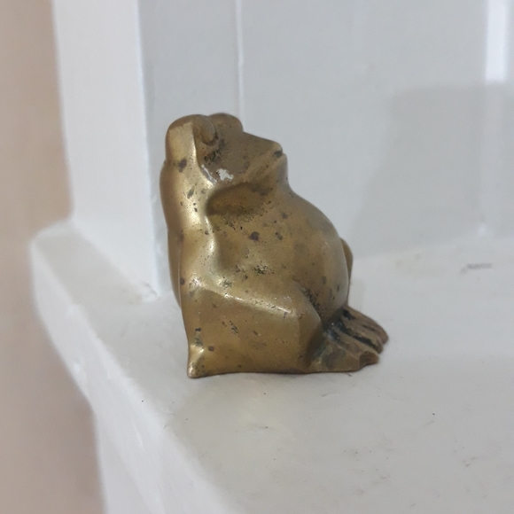 Snooty Amphibian - Picture 3 of 7